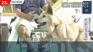 Animal Welfare Event Held in Kitakyushu to Mark Animal Welfare Week Starting the 20th