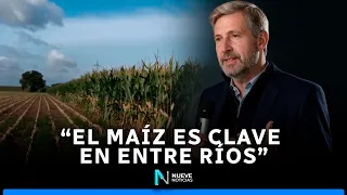 🌾 MULTI-RISK INSURANCE: Frigerio presents pilot program for corn producers🌽🚜