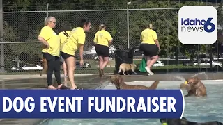 Nampa Pooch Party Raises Funds for Local Dog Parks