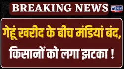 Anaj Mandi: मंडियों में गेहूं की आवक बढ़ी, लेकिन हड़ताल से खरीद की रफ्तार हुई सुस्त। India News
