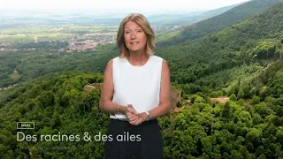 [Trailer] Des racines & des ailes – Alsace, Land of Passion