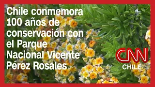 Chile conmemora 100 años de conservación con el Parque Nacional Vicente Pérez Rosales