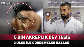 Giant Facility in Turkey with 5,000 Scorpions! Negotiations Underway with 3 Countries