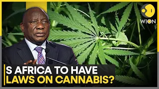 South Africa Proposes Law to Limit Cannabis Consumption | WION