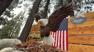 Jackie the Big Bear bald eagle honored with life-sized memorial wood sculpture