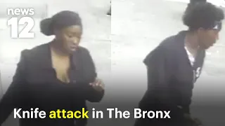 Man critically injured in Bronx stabbing attack; 2 suspects on the run
