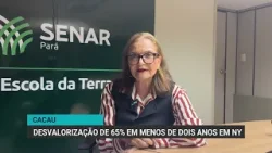 Cacau sofre desvalorização de 65% em menos de dois anos em NY