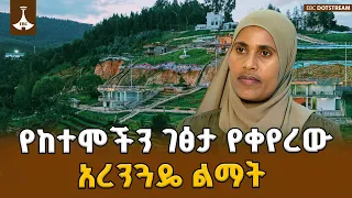 የከተሞችን የኢኮኖሚ አቅም ያሳደገው የአረንጓዴ ልማት እና  ስኬቱ  | ETV | EBC | EBCDOTSTREAM