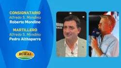 Roberto Mondino and Pedro Althaparro | Tomorrow TV auction from San Antonio de Areco with 12,000 ...