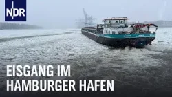 Eiszeit auf der Elbe: Von Schleppern, Eisbrechern und Barkassen | Die Nordreportage | NDR Doku