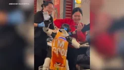 В ресторане в Купертино, штат Калифорния, персонал обездвижил танцующего робота после того, как т... В ресторане в Купертино, штат Калифорния, персонал обездвижил танцующего робота после того, как т...