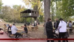 Festival Čudesna šuma – Zlatna greda će uskoro zaživjeti onako kako je se ljudi sjećaju