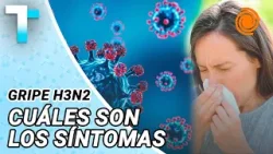 VACUNACIÓN contra la GRIPE H3N2 en Córdoba: quiénes deben colocársela y quiénes acceden gratis