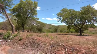 Impactos del fenómeno del niño