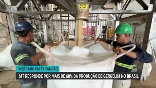Sesame gains ground in Brazil as Mato Grosso now accounts for over 60% of production