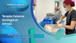 Autologous Cellular Therapies for Osteoarthritis