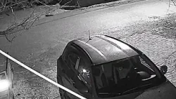 Aç Kurt Yerleşim Yerine İndi!