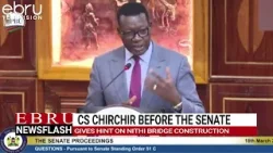 Дэвис Чирчир объявил о начале строительства моста Нити. #ebrunews