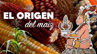 Mexican Archaeology. Origin of Corn