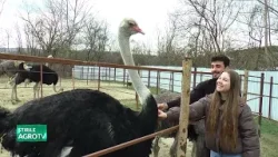 “Am făcut bani în Spania ca să i înmulțesc acasă!” 18 03 2026