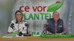 Indepartarea plosnitelor din solar Cristina Ghibu si Horia Ghibu Indepartarea plosnitelor din solar Cristina Ghibu si Horia Ghibu