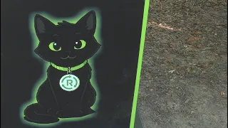 RUPI BLESTEMUL, RECICLEZI