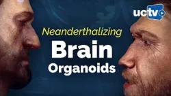 CARTA: Neanderthalizing Brain Organoids with Alysson Muotri