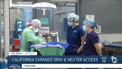 Spay and neuter access to expand