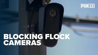 'Block Flock': Green Bay, Wisconsin critics push for regulations of license plate reader cameras