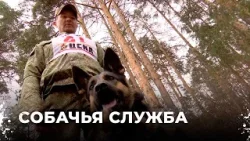 Уральские нюхачи: Собаки-детективы в борьбе с наркотиками и контрабандой