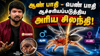 ஆண் பாதி - பெண் பாதி ஆச்சரியப்படுத்திய அரிய சிலந்தி! | Therinthu Kolvom | Vasanth TV