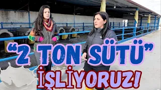 2 Ton Sütü İşliyoruz.!