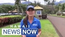 Maui Marathon returns but major changes are planned after wildfires