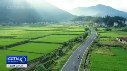 China Media Group publie le top 10 des actualités sur la revitalisation rurale en 2025 China Media Group publie le top 10 des actualités sur la revitalisation rurale en 2025