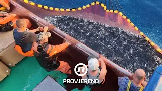 Od 15 do 68 godina: Ovako izgleda život ljudi koji žive od ribarenja | Provjereno