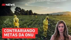 Estudo global aponta alta na toxicidade de agrotóxicos | JP Sustentável