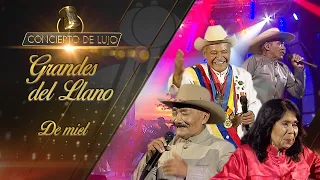 [Concierto de Lujo] – Los Grandes del Llano – De Miel