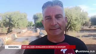 SEPTEMBER 16, 2026 - MONOPOLI: THEFTS IN THE COUNTRYSIDE, CRITICAL ALERTS ON WHATSAPP