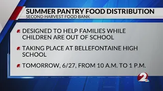 Summer pantry food distribution