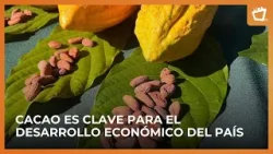 Ratifican convenio para fortalecer el sector cacaotero