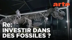 Le business des fossiles de dinosaures | ARTE Regards