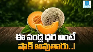Yubari King Melon : Japan’s Most Luxurious Fruit Cost Rs. 34 Lakhs | Sakshi Tv Digital