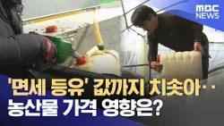 면세유마저 '껑충'‥ "시설 농가 깊은 시름" (2026.03.10/뉴스데스크/대전MBC)