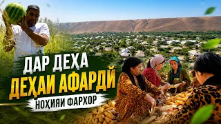 In the Village | Afardi Village | Farkhor District - 2026