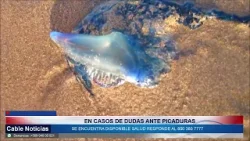 06 FEB 2026 Seremi de Salud levanta prohibición de baño y actividades recreativas en El Quisco