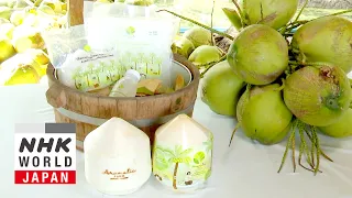 Thailand's Coconut Wars - Asia Insight