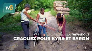 A Dog's Life: Fall in love with Kyra and Byron