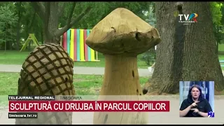 Chainsaw Sculpture in the Children's Park: Felled Trees Get a New Lease on Life #RegionalNews @TVRTM