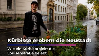 Pumpkin gardener in the middle of Dresden's Neustadt 🎃