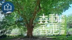 森動香港：大樹之靈